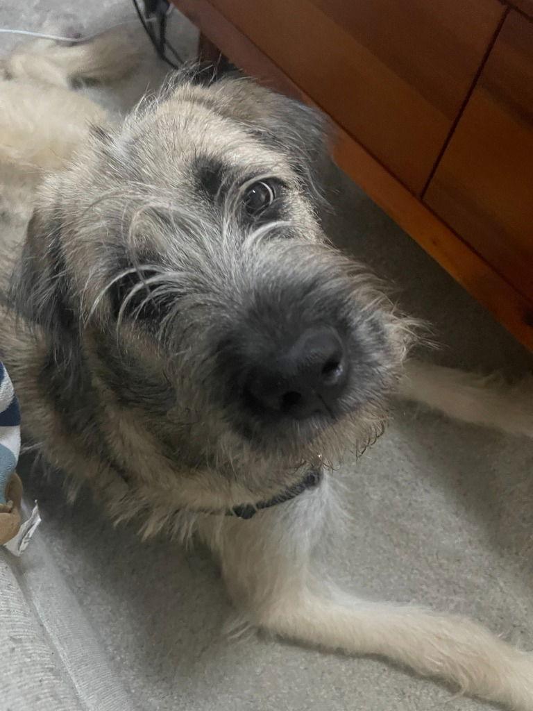 Esmerelda thumbnail 3