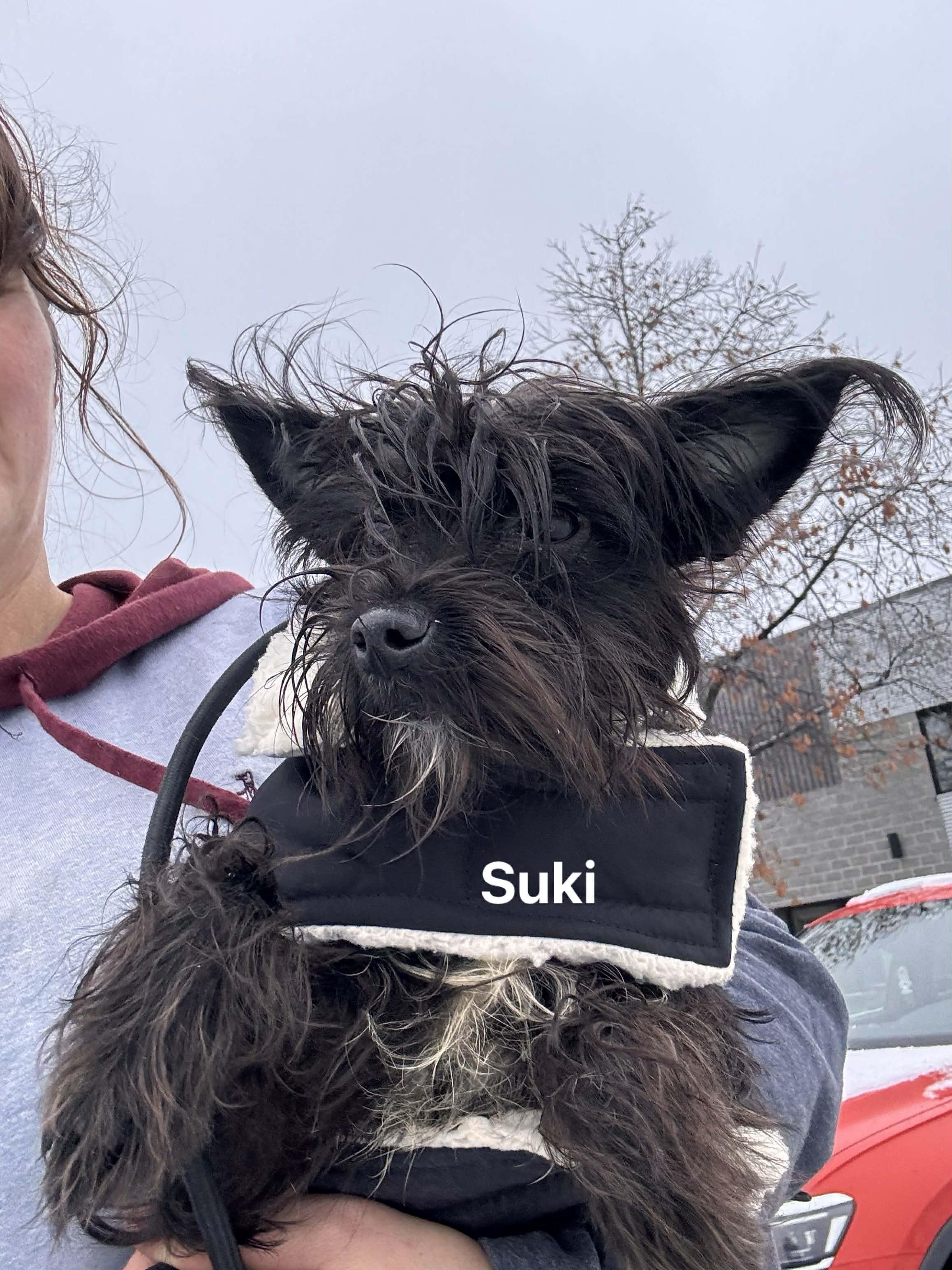 Suki