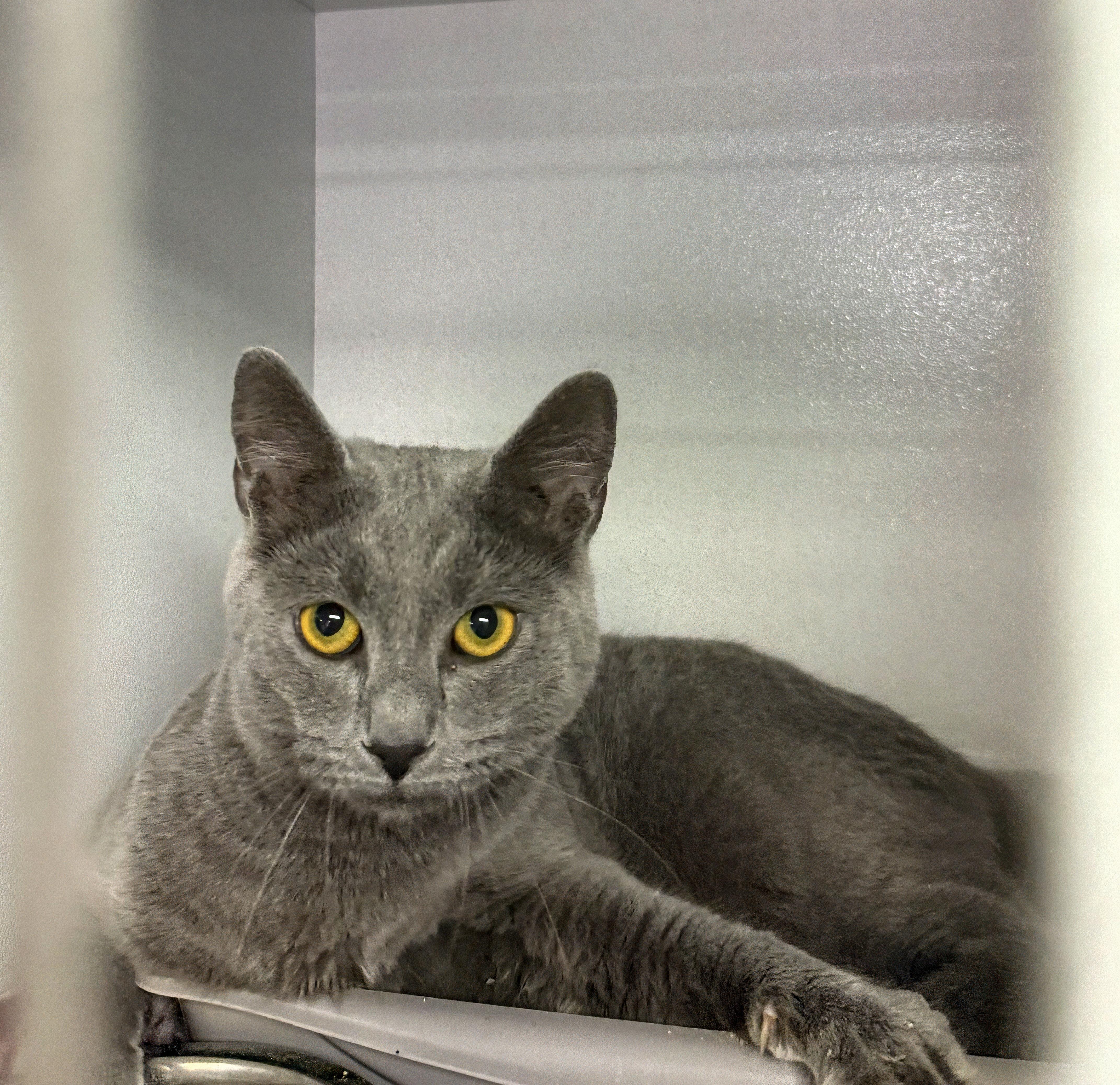 Chance the Napper — thumbnail 2