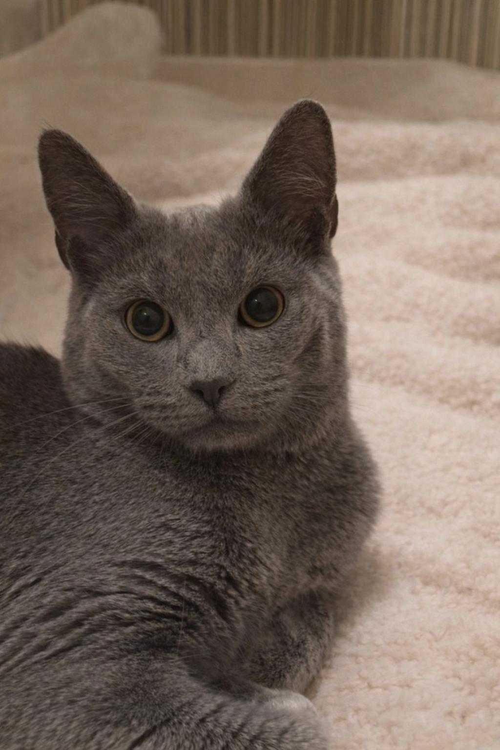 Chance the Napper — thumbnail 3