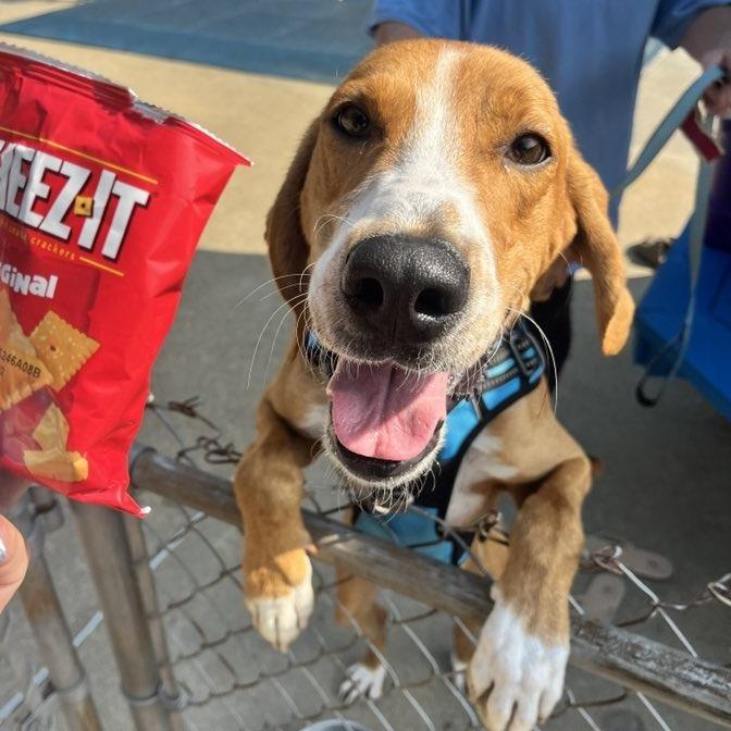 Stick Boy — thumbnail 3