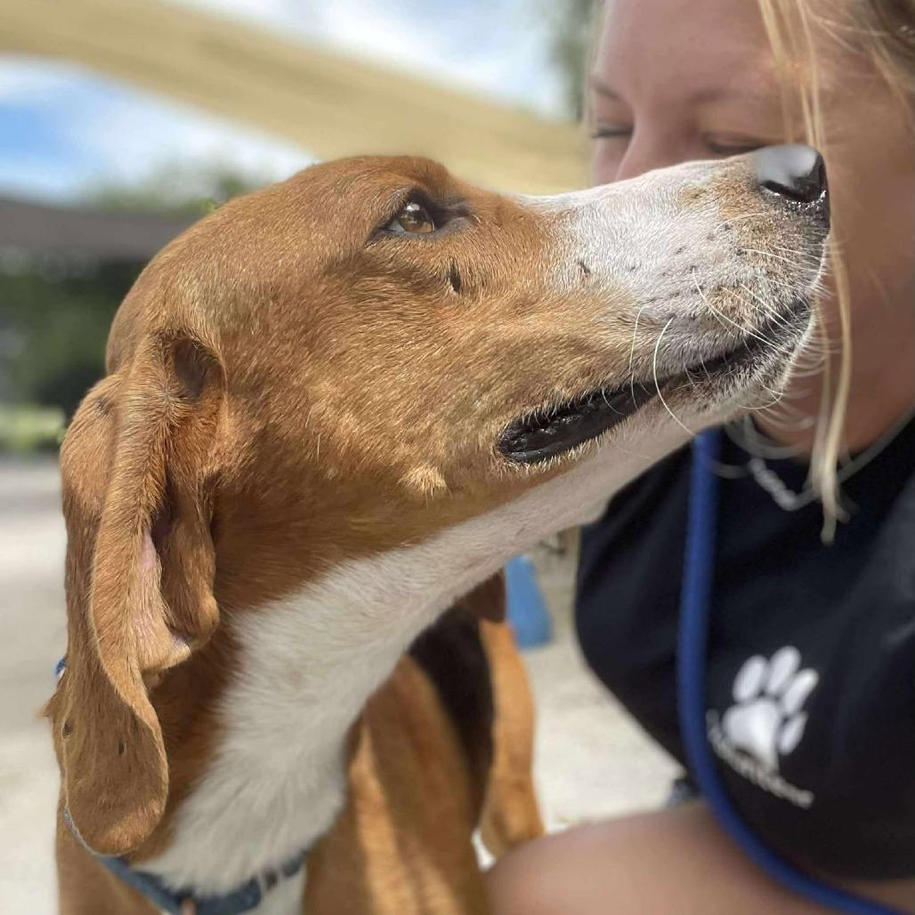 Stick Boy — thumbnail 5