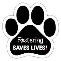 FOSTER HOMES NEEDED URGENTLY IN ORANGE COUNTY!