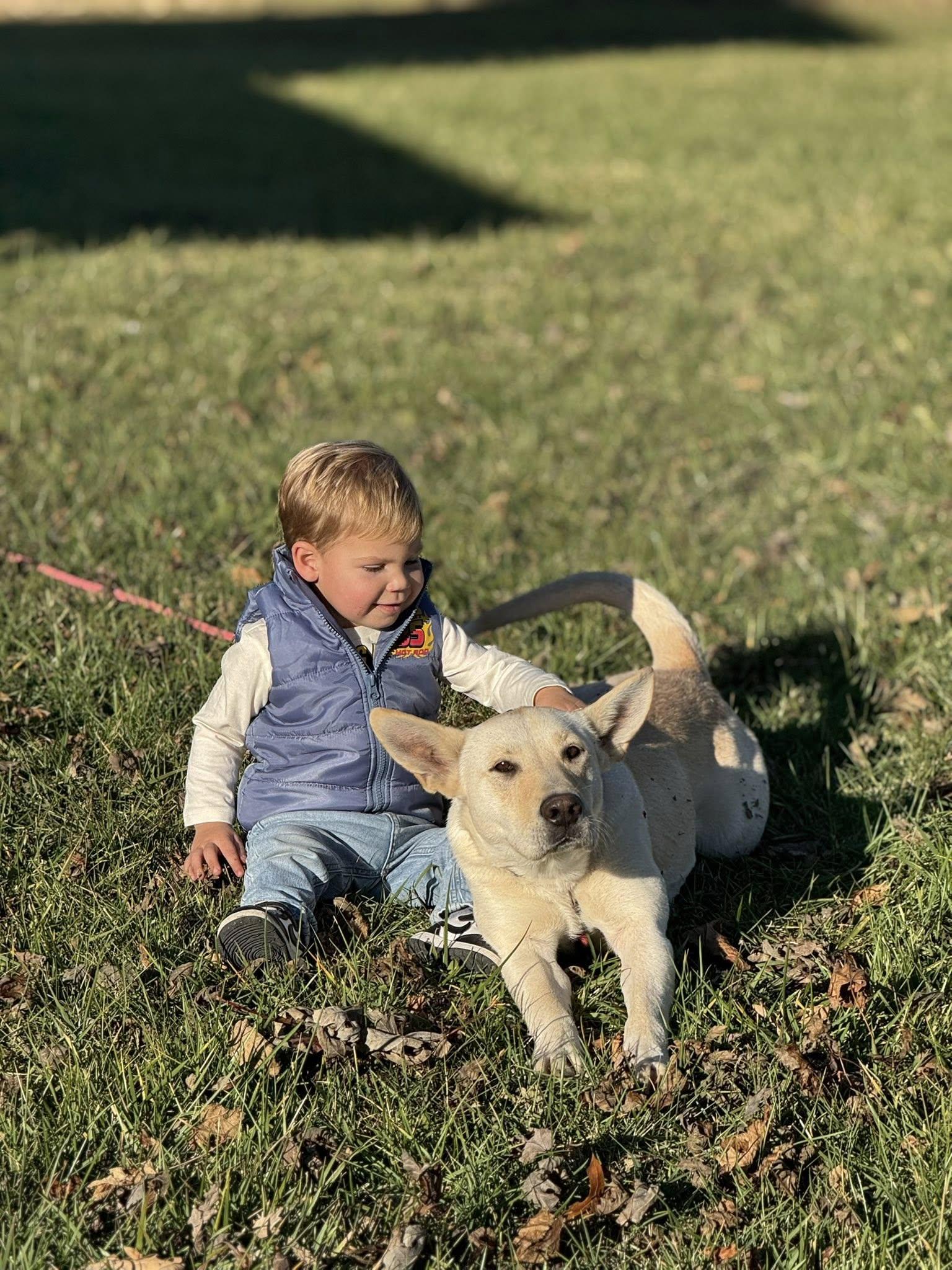 Eleanor Rigby, a ADOPTABLE mixed breed in Byron, IL image 4/6