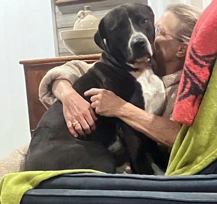 RANGER - big lover boy