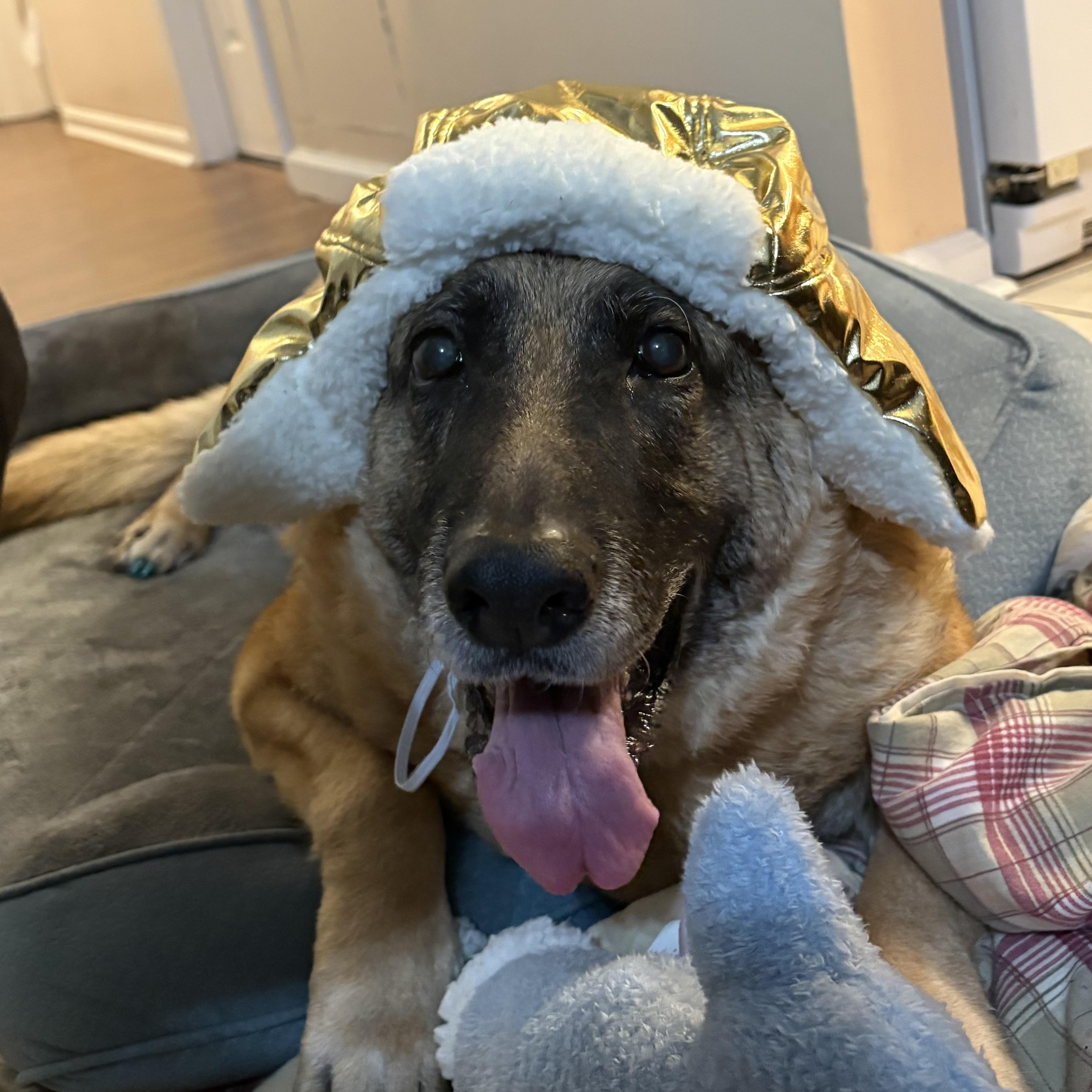 Iridessa — thumbnail 2