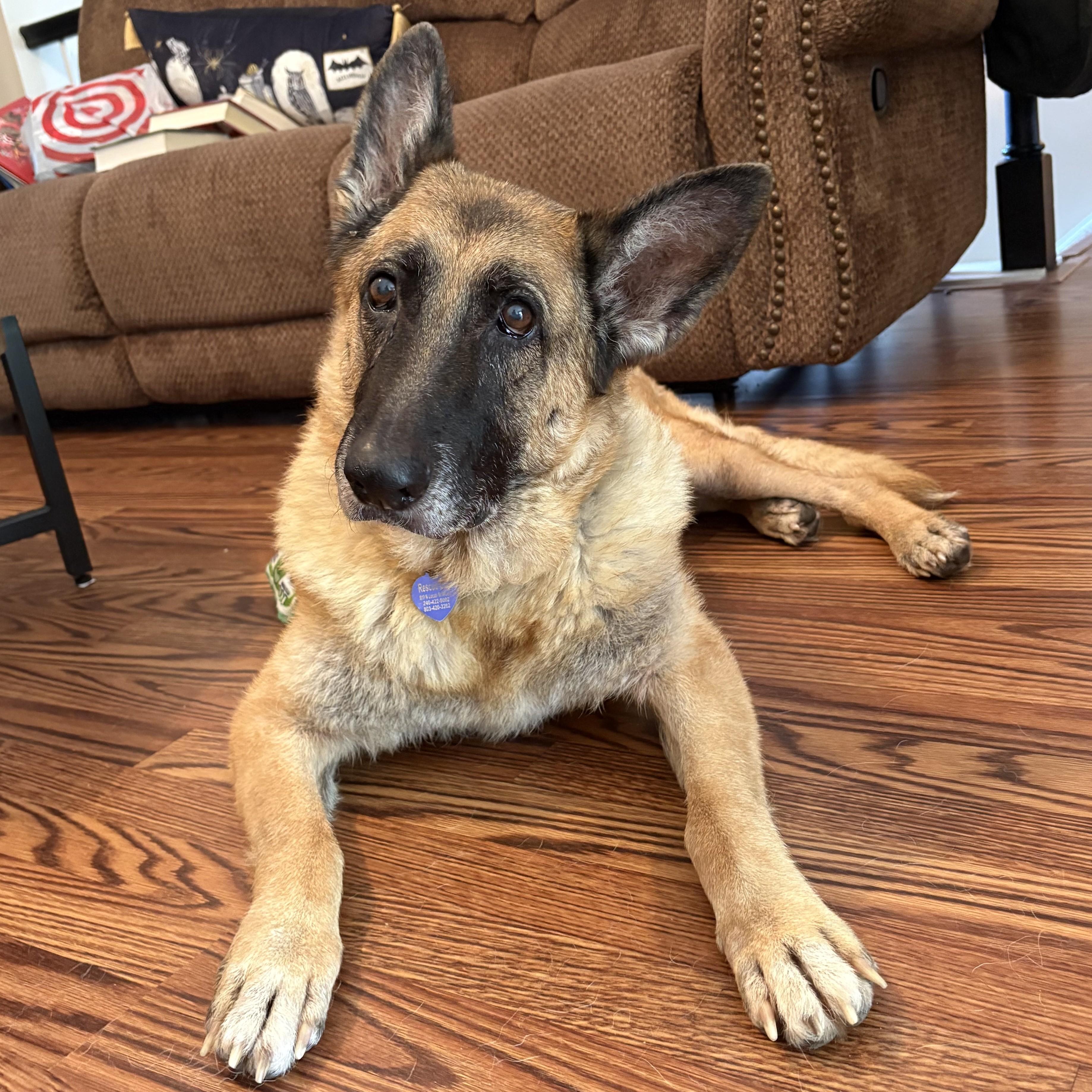 Iridessa — thumbnail 6