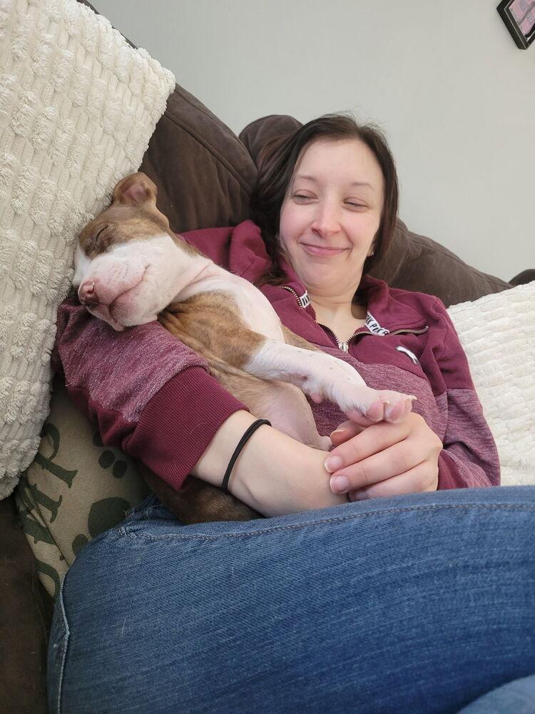 Enlarge Barley, a Adoptable mixed breed in Irwin, PA image 2/4