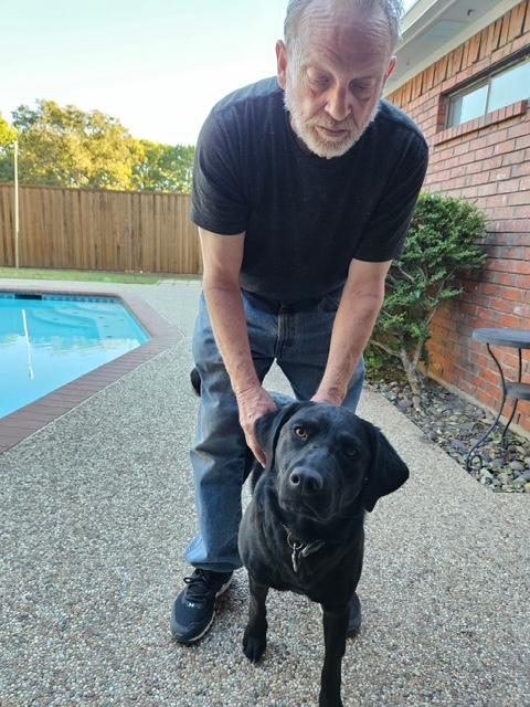 Bella, an adopted mixed breed in Corsicana, TX image 2/5