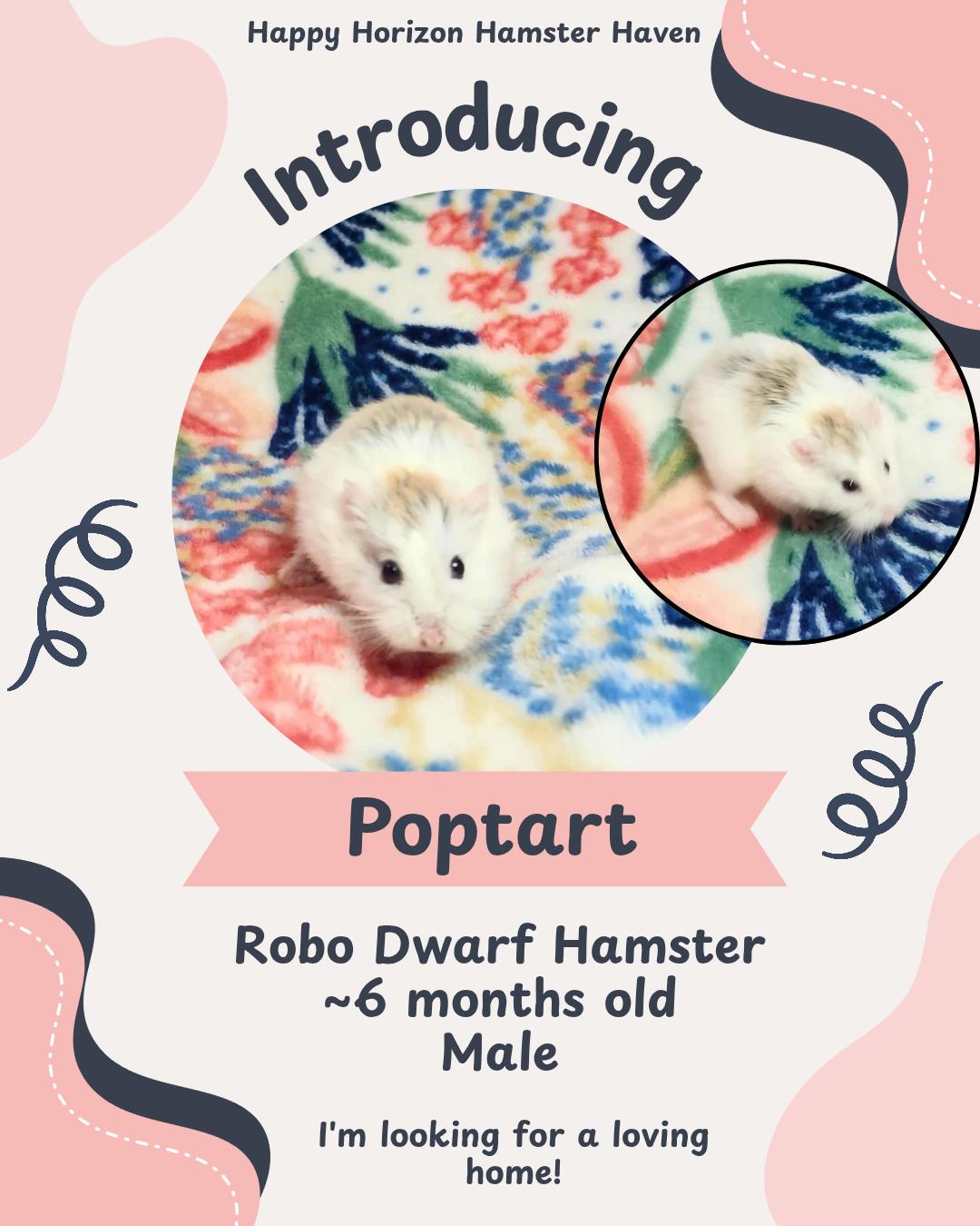 Poptart