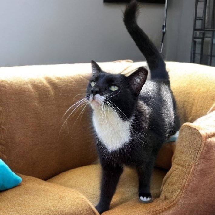 Patina — thumbnail 2