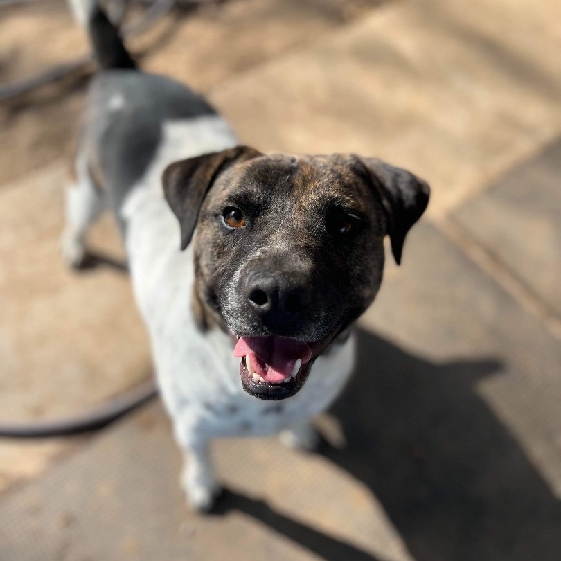 Jackson — thumbnail 2