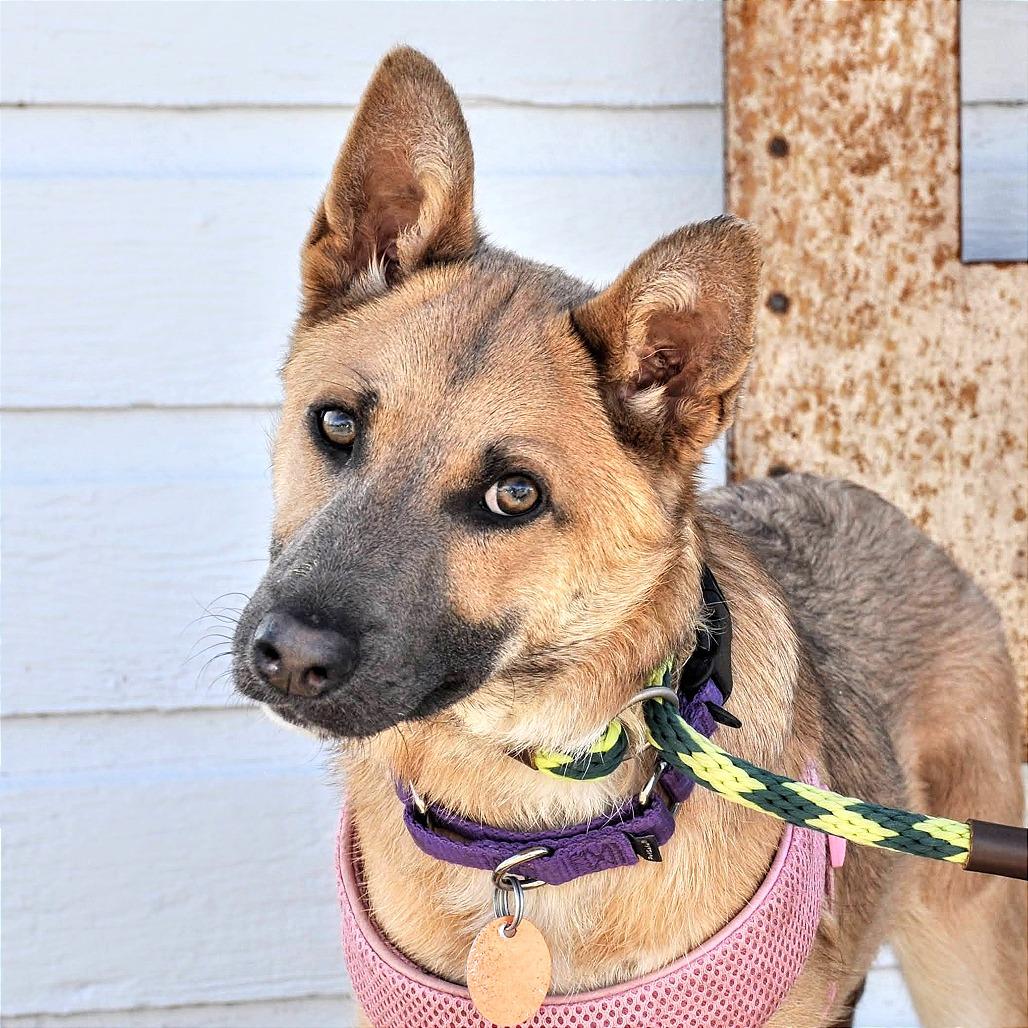 Lily — thumbnail 2