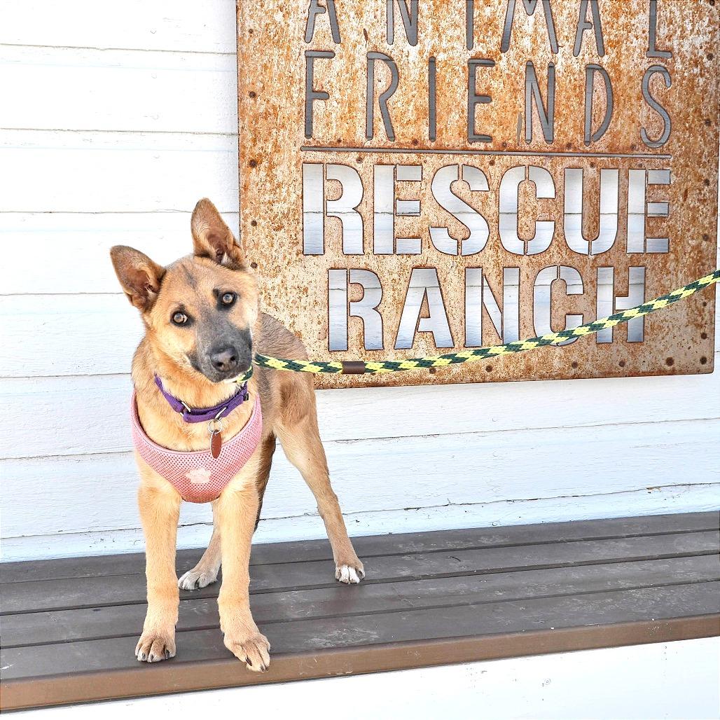 Lily — thumbnail 3