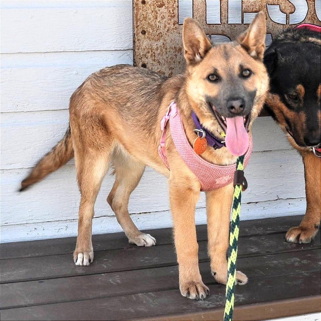 Lily — thumbnail 4