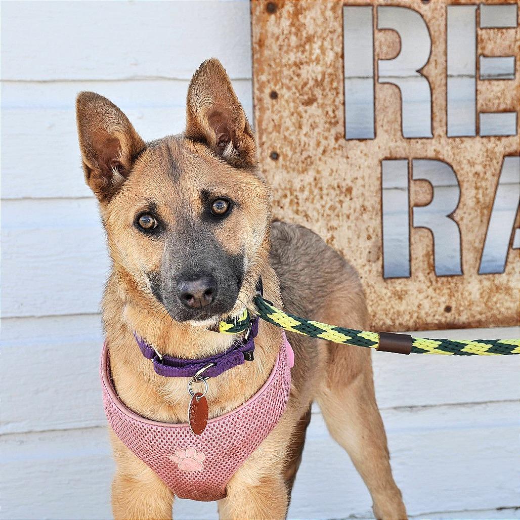 Lily — thumbnail 5