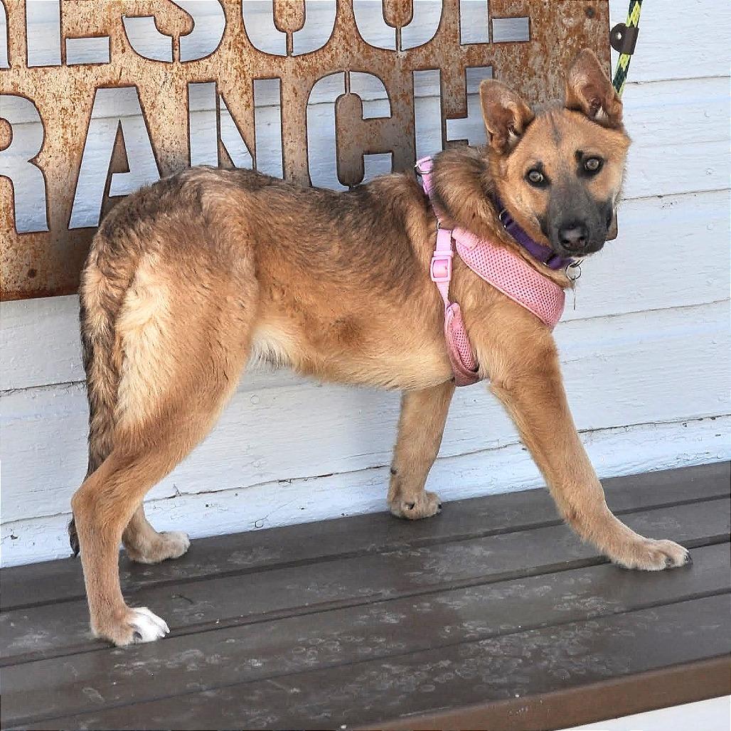 Lily — thumbnail 6