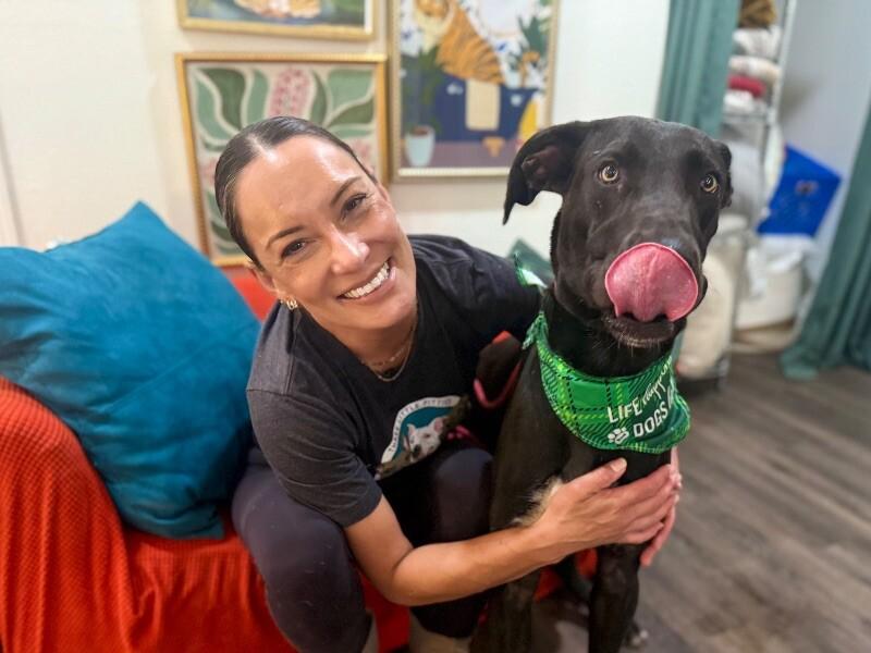 Baloo Big Hearted Goofy Boy — thumbnail 2