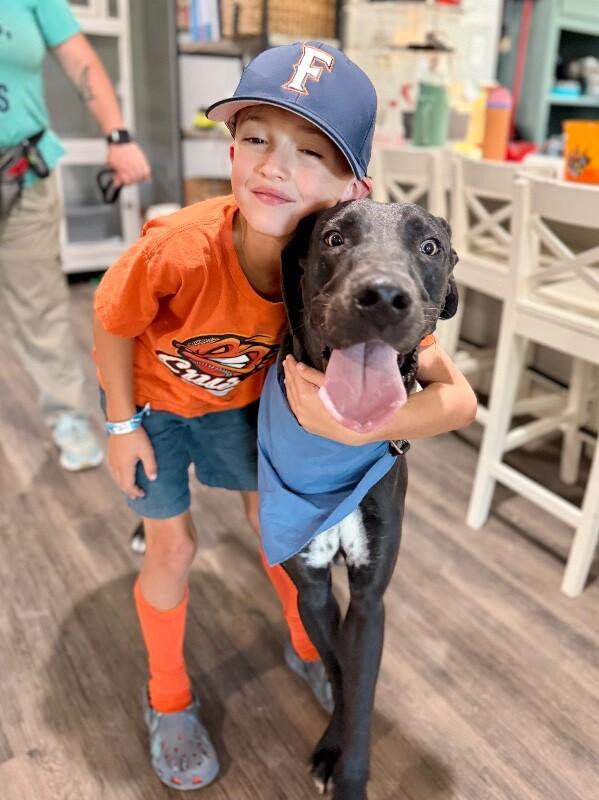 Baloo Big Hearted Goofy Boy — thumbnail 5