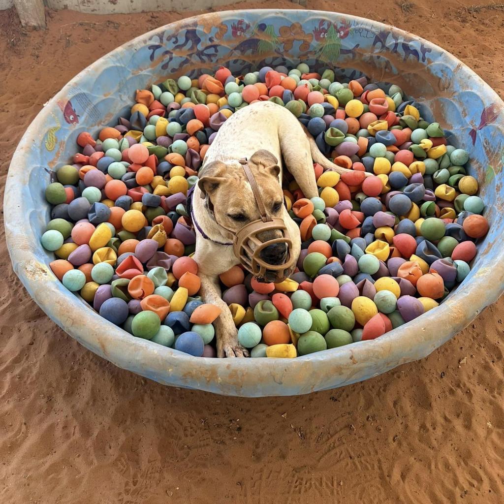 Titus — thumbnail 2