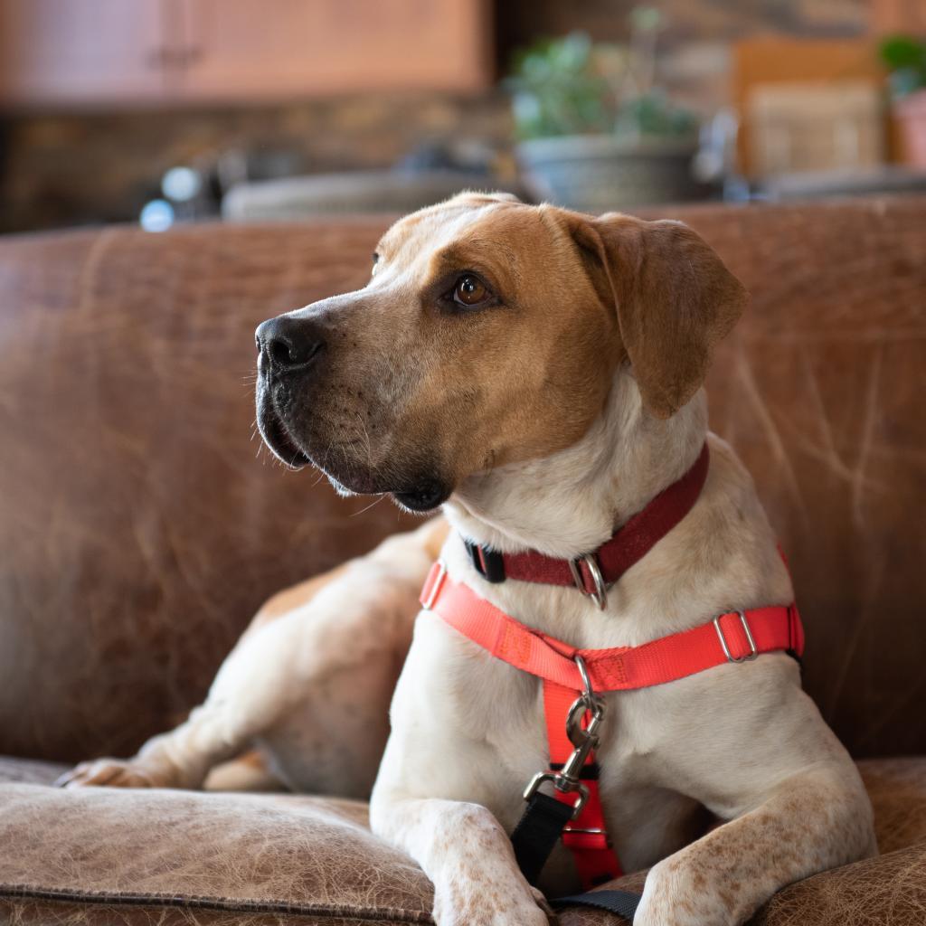 Titus — thumbnail 6