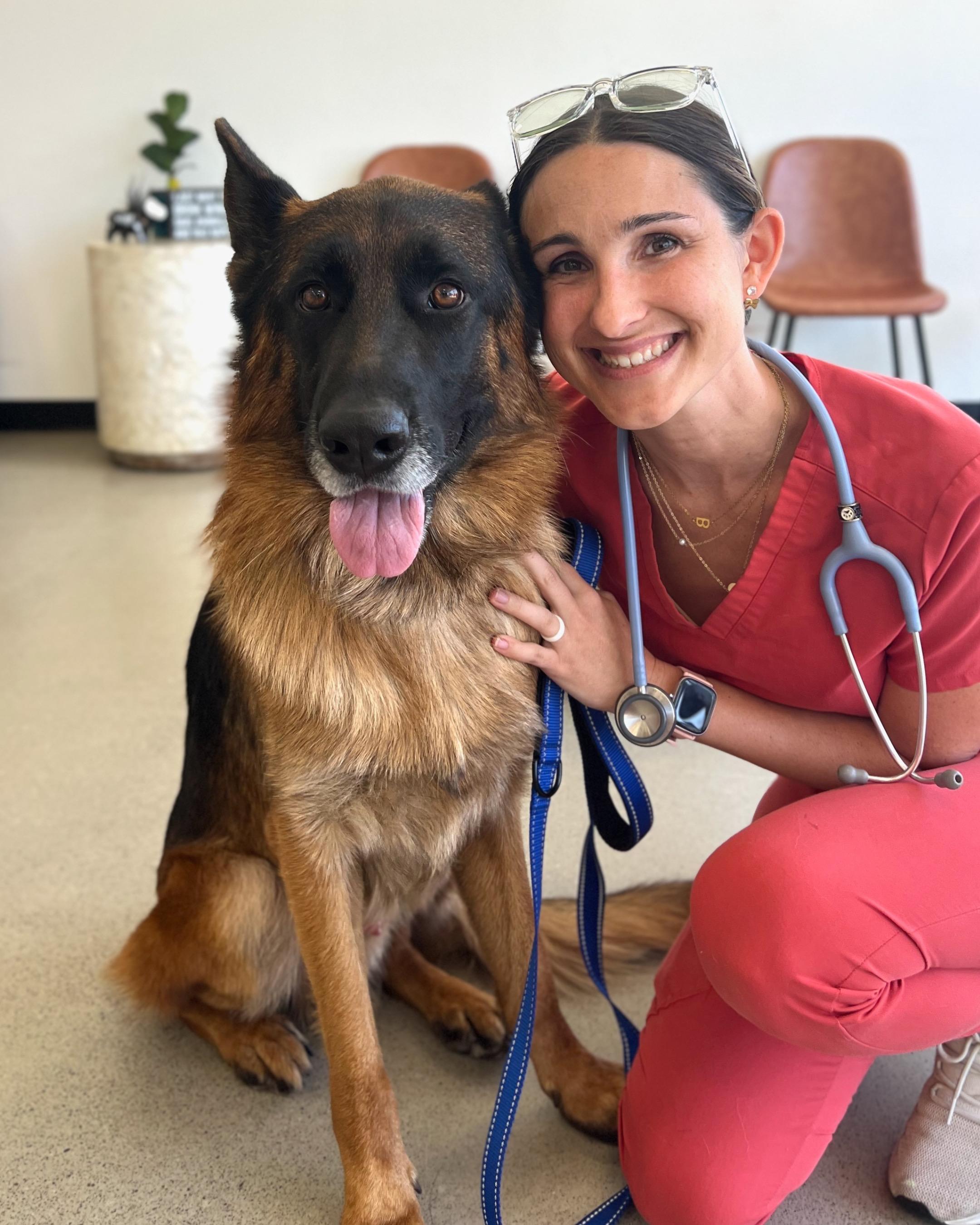 Enlarge Ranger, an adopted German Shepherd Dog in San Diego, CA image 3/6