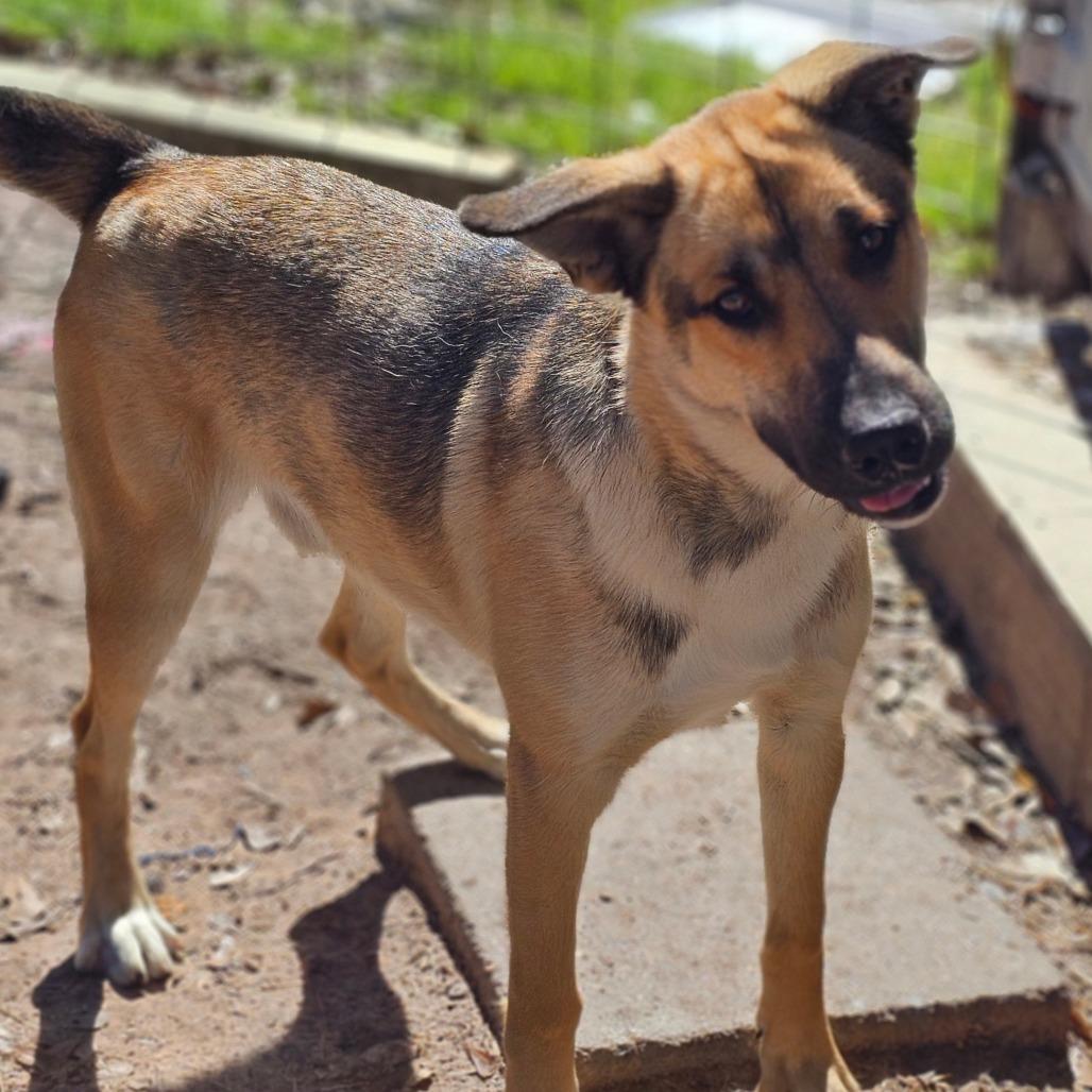 Tucker — thumbnail 4