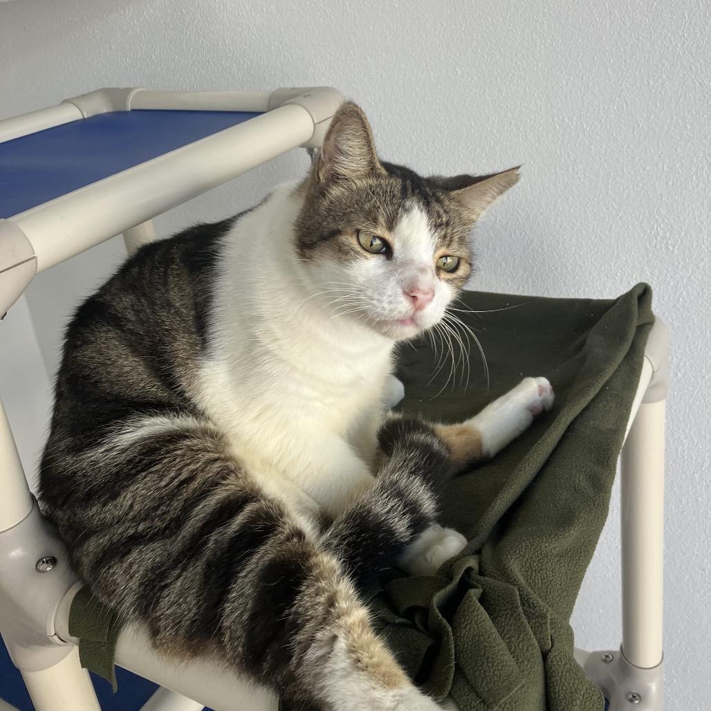 Baby — thumbnail 2