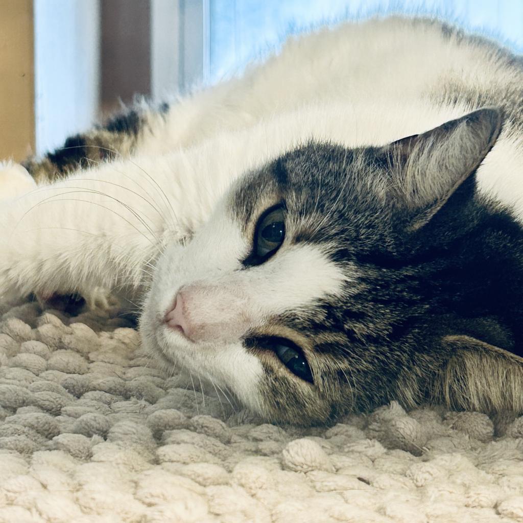 Baby — thumbnail 3