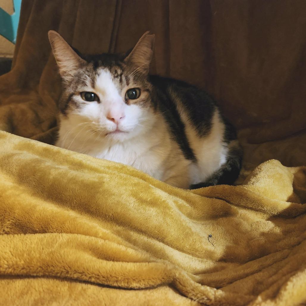 Baby — thumbnail 4