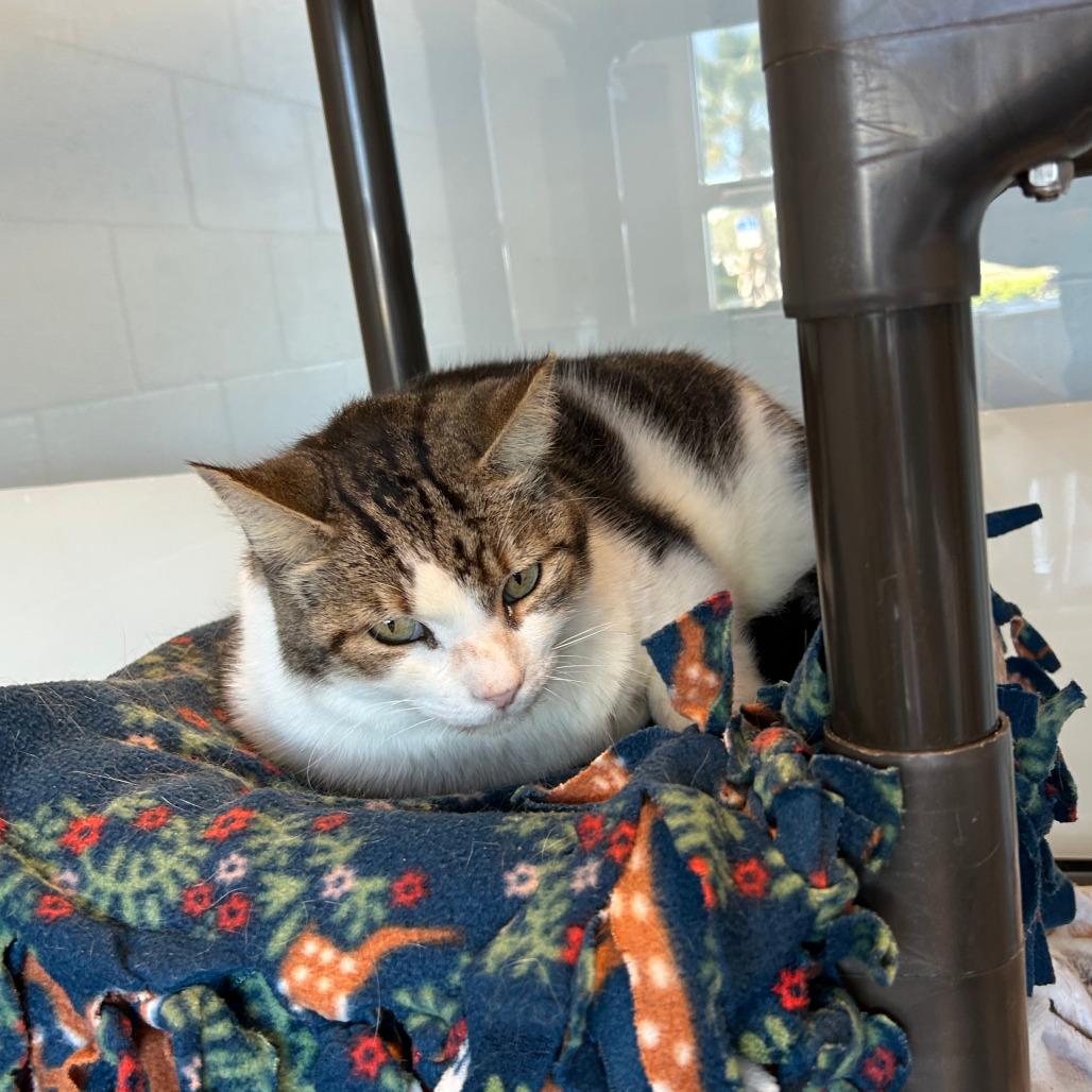 Baby — thumbnail 5