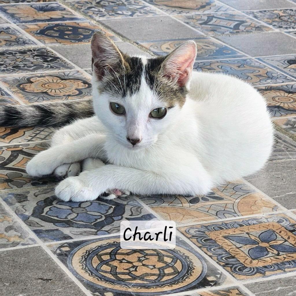 Charli