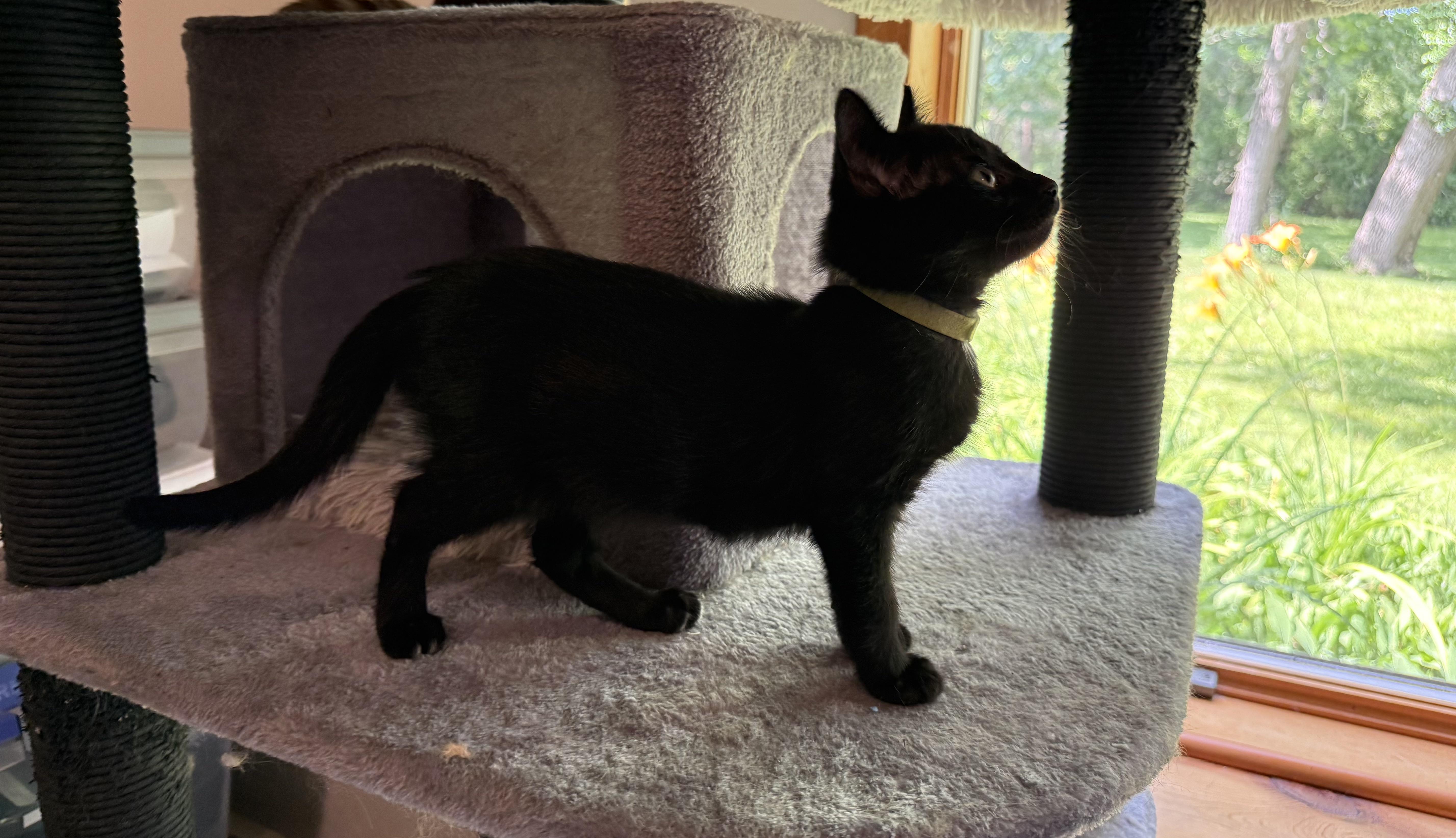 Maisie photo 3