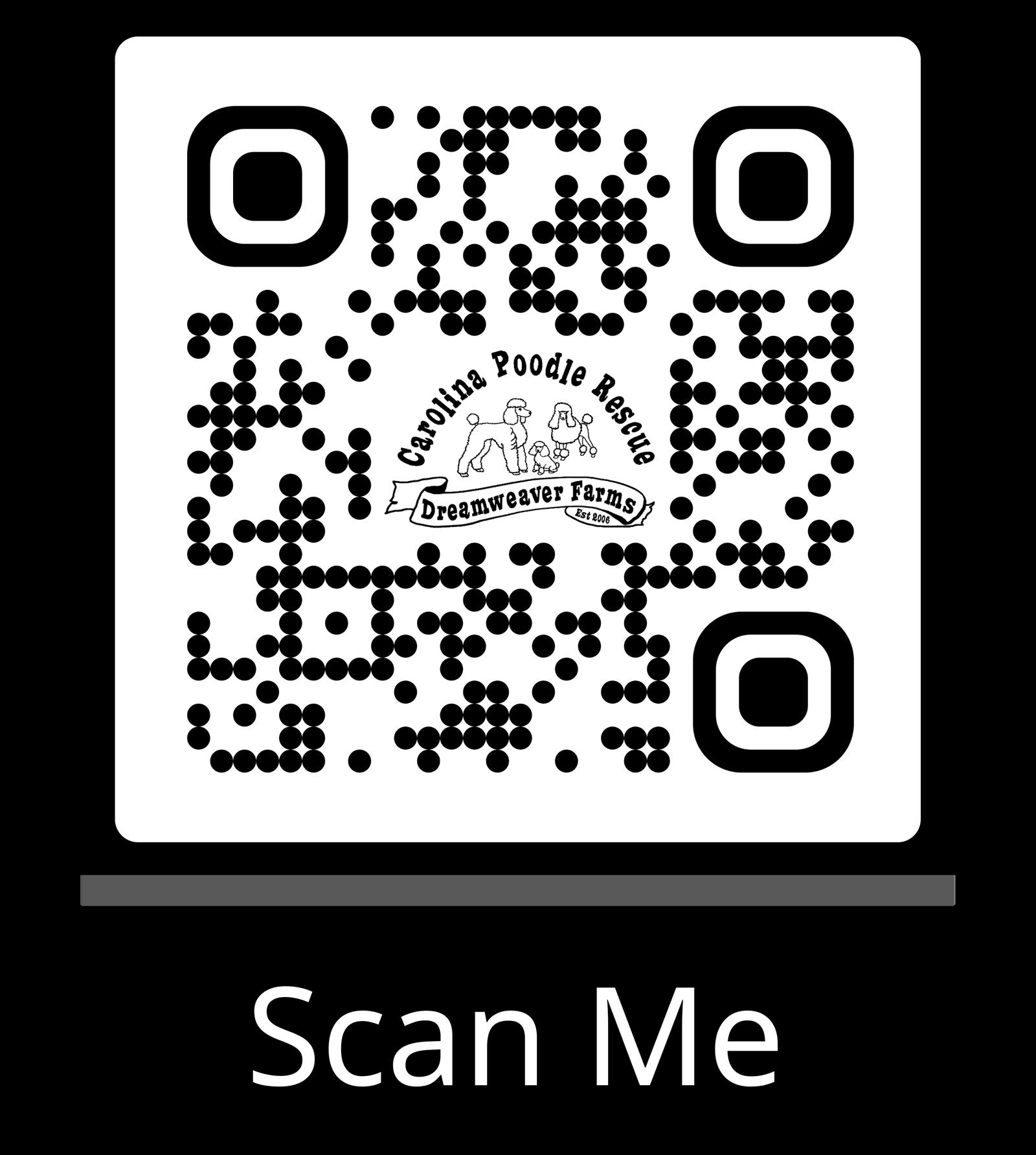 Enlarge Mike Jul 25 - In Foster in Raleigh, NC, a Adoptable Maltese in Pacolet, SC image 2/3