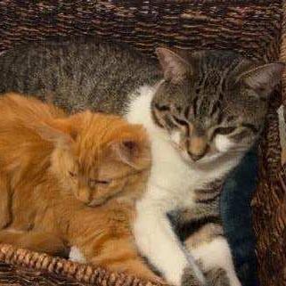 Wall-e — thumbnail 4