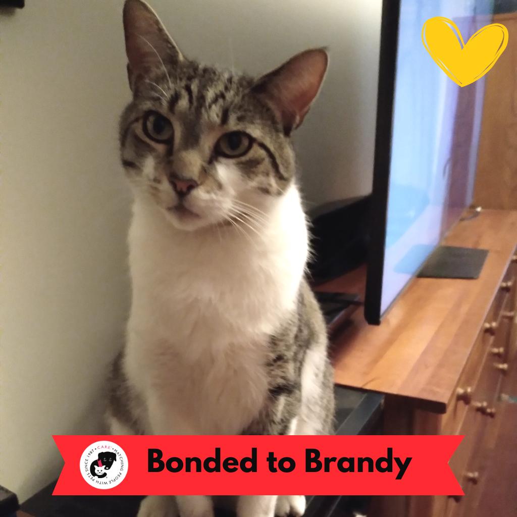 Wall-e — thumbnail 5