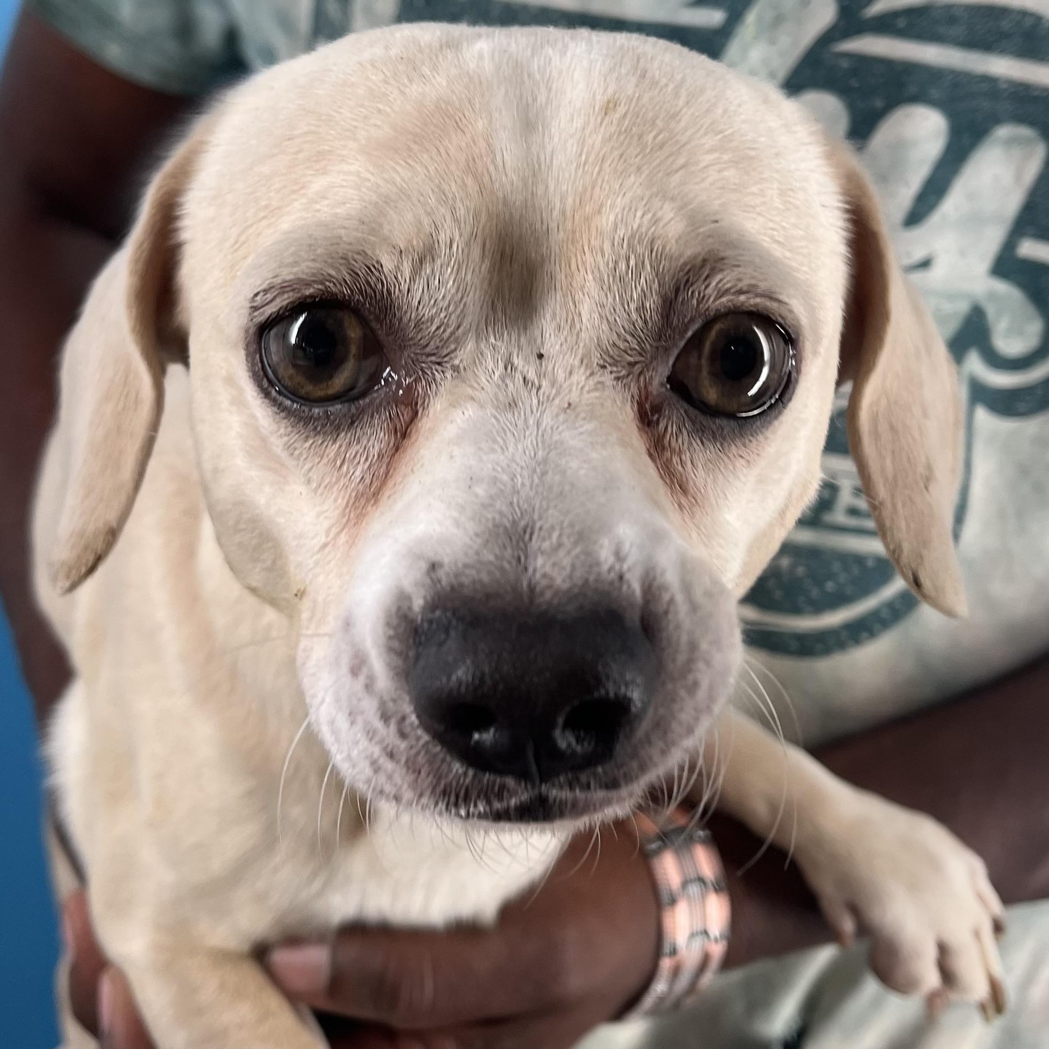 Turbo  Local Nov thumbnail 3