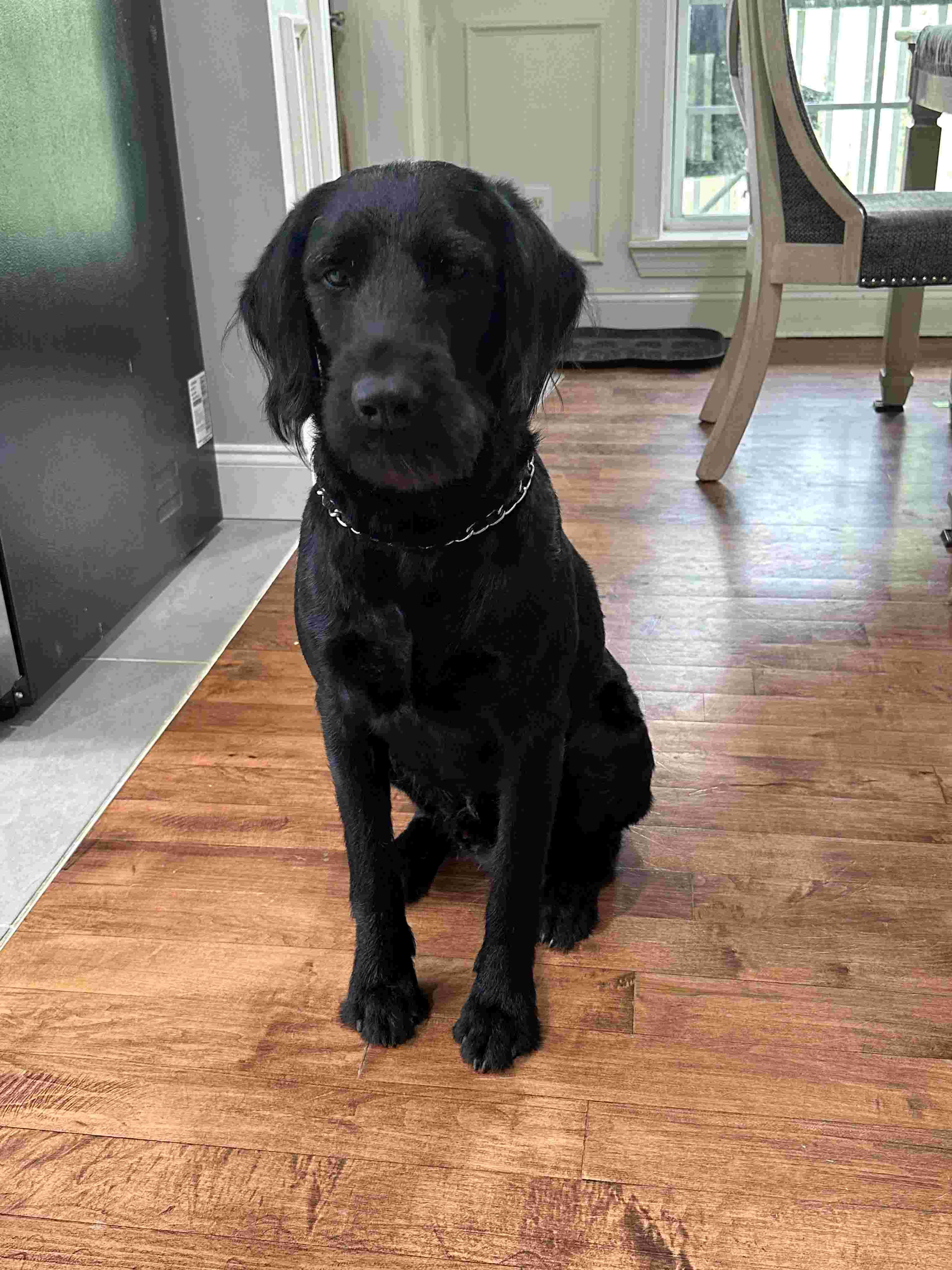 Bruce # thumbnail 2