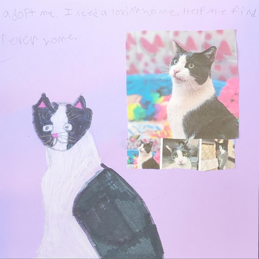 Diver — thumbnail 5