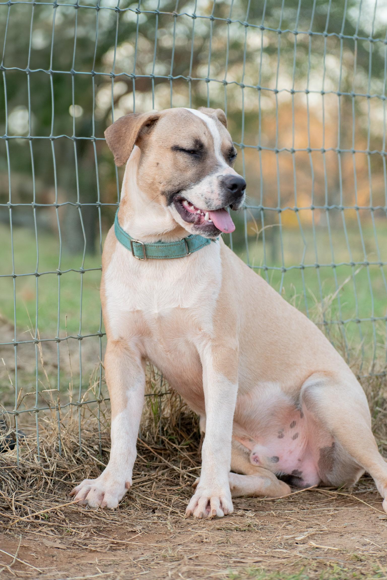 Abner photo 3