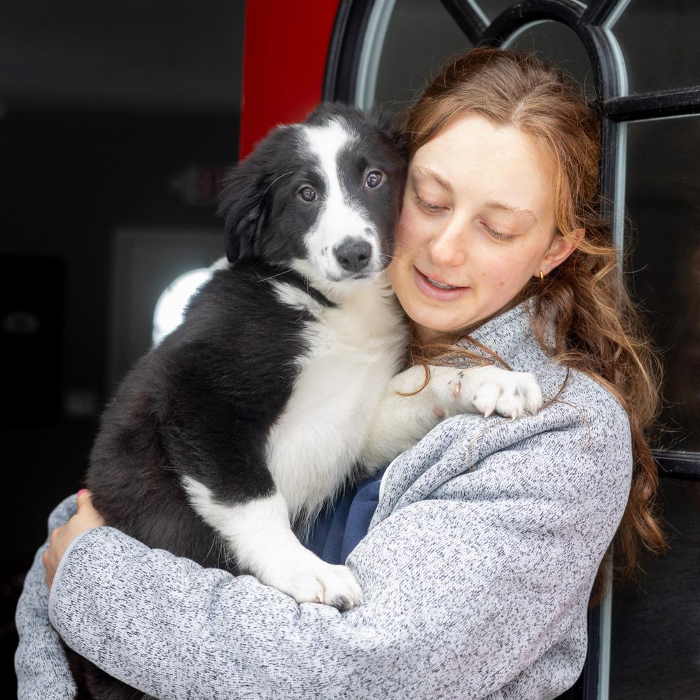 Enlarge Ivory (Female)    Avail 2/14 , an adopted mixed breed in West Grove, PA image 4/6