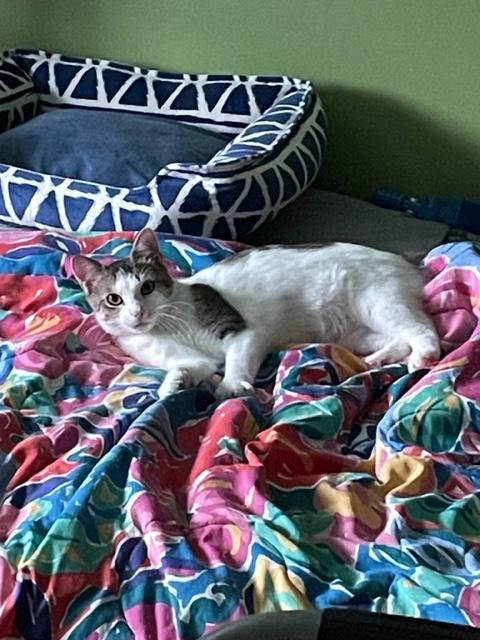 Delilah photo 4