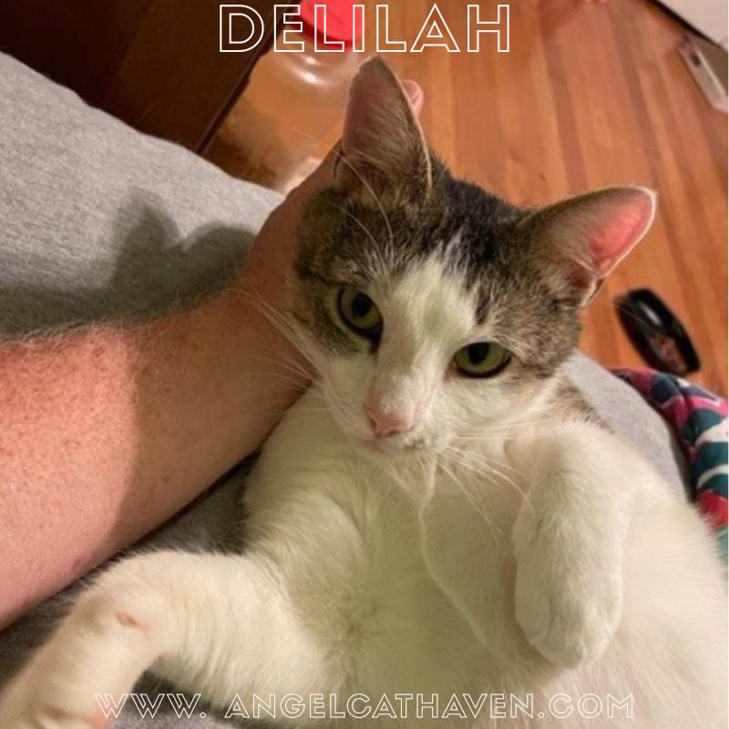 Delilah, Young Female unknown