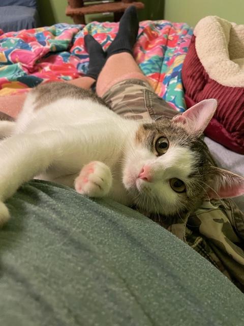Delilah photo 2