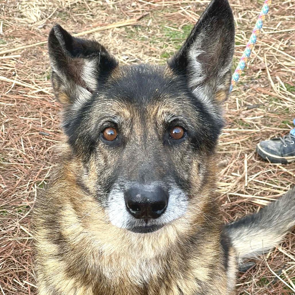 Jackson — thumbnail 2