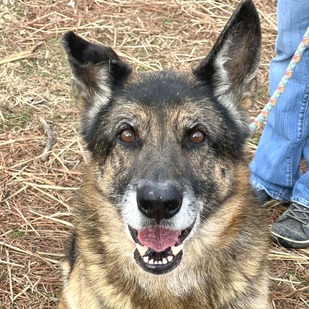 Jackson — thumbnail 3