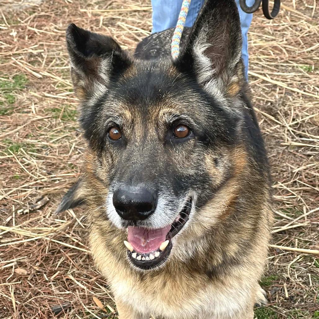 Jackson — thumbnail 5