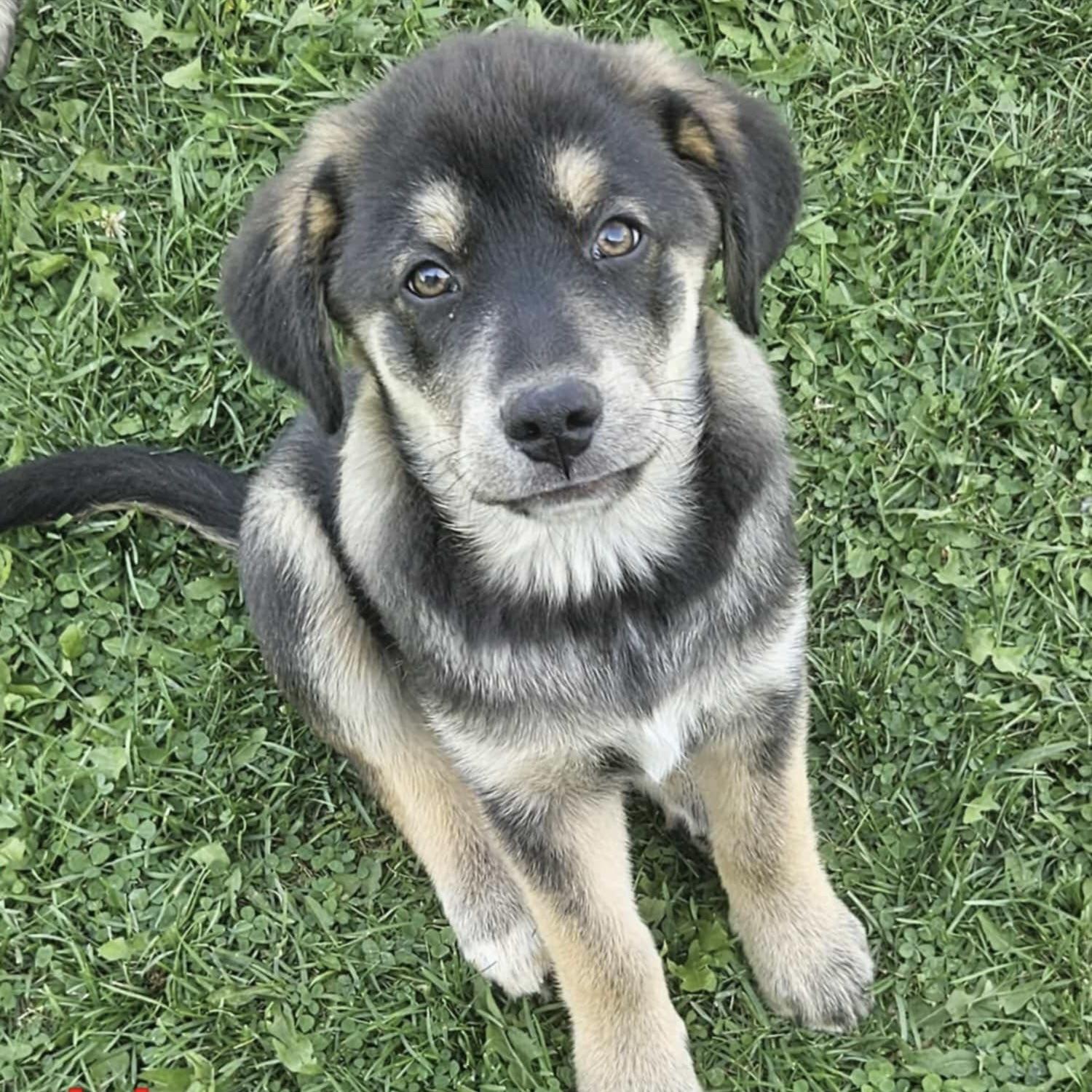 Hennessy (20250802-07)