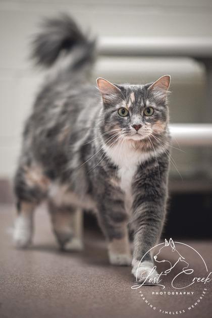Sunny - Bonded with Moon photo