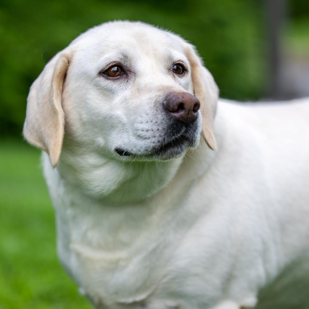 Tasha